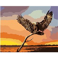 Zuty - Painting By Numbers - Eagle On Branch (D. Rusty Rust), 40X50 Cm, Canvas+Frame - Painting by Numbers