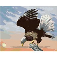 Zuty - Painting by Numbers - Eagle at Dusk (D. Rusty Rust), 40X50 Cm, Canvas+Frame - Painting by Numbers