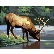 Zuty - Painting by Numbers - Los U Vody (D. Rusty Rust), 40X50 Cm, Canvas+Frame - Painting by Numbers