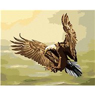 Zuty - Painting by Numbers - Hunting Eagle (D. Rusty Rust), 40X50 Cm, Canvas+Frame - Painting by Numbers