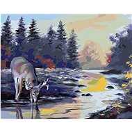 Zuty - Painting by Numbers - Deer Drinking From a Stream (D. Rusty Rust), 40X50 Cm, Canvas+Frame - Painting by Numbers