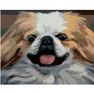 Zuty - Painting by Numbers - Dog - Portrait (D. Rusty Rust), 40X50 Cm, Canvas+Frame - Painting by Numbers
