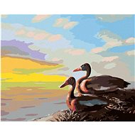 Zuty - Painting by Numbers - Ducks (D. Rusty Rust), 40X50 Cm, Canvas+Frame - Painting by Numbers