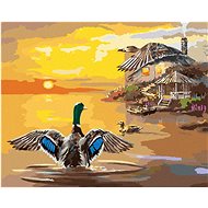 Zuty - Painting By Numbers - Duck In The Lake (D. Rusty Rust), 40X50 Cm, Canvas+Frame - Painting by Numbers