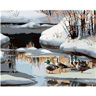 Zuty - Painting by Numbers - Duck on Frozen River (D. Rusty Rust), 80X100 Cm, Canvas+Frame - Painting by Numbers