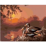 Zuty - Painting by Numbers - Ducks at the Lake and Sunset (D. Rusty Rust), 40X50 Cm, Canvas+Frame - Painting by Numbers