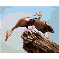 Zuty - Painting by Numbers - Ducks on a Log (D. Rusty Rust), 40X50 Cm, Canvas+Frame - Painting by Numbers