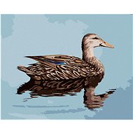 Zuty - Painting by Numbers - Duck Floating on Water (D. Rusty Rust), 40X50 Cm, Canvas+Frame - Painting by Numbers
