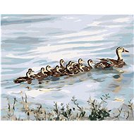 Zuty - Painting by Numbers - Duck and Cubs (D. Rusty Rust), 40X50 Cm, Canvas+Frame - Painting by Numbers
