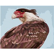 Zuty - Painting by Numbers - View of a Vulture (D. Rusty Rust), 40X50 Cm, Canvas+Frame - Painting by Numbers