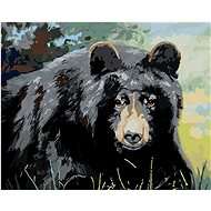Zuty - Painting by Numbers - Bear Eye View (D. Rusty Rust), 40X50 Cm, Canvas+Frame - Painting by Numbers