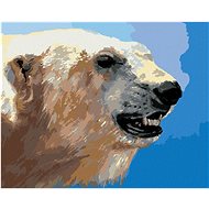 Zuty - Painting by Numbers - Portrait of Polar Bear (D. Rusty Rust), 40X50 Cm, Canvas+Frame - Painting by Numbers