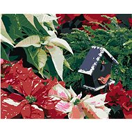 Zuty - Painting by Numbers - Christmas Roses (Dennis Frates), 40X50 Cm, Canvas+Frame - Painting by Numbers