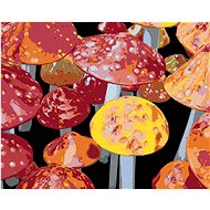 Zuty - Painting by Numbers - Toadstools (Dennis Frates), 40X50 Cm, Canvas+Frame - Painting by Numbers