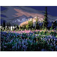 Zuty - Painting by Numbers - Meadow Flowers in the Mountains (Dennis Frates), 40X50 Cm, Canvas+Frame - Painting by Numbers
