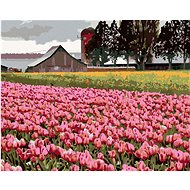Zuty - Painting by Numbers - Pink Tulips in a Meadow (Dennis Frates), 40X50 Cm, Canvas+Frame - Painting by Numbers