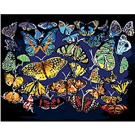 Zuty - Painting by Numbers - Colorful Butterflies (D. Rusty Rust), 40X50 Cm, Canvas+Frame - Painting by Numbers
