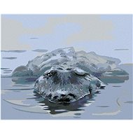 Zuty - Painting by Numbers - Alligator In Water (D. Rusty Rust), 40X50 Cm, Canvas+Frame - Painting by Numbers