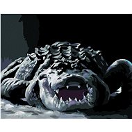 Zuty - Painting By Numbers - Alligator In The Dark (D. Rusty Rust), 40X50 Cm, Canvas+Frame - Painting by Numbers