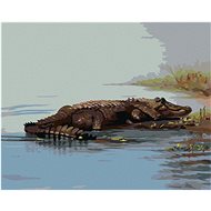 Zuty - Painting by Numbers - Alligator Lying in Water (D. Rusty Rust), 40X50 Cm, Canvas+Frame - Painting by Numbers