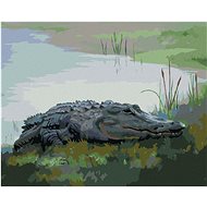 Zuty - Painting By Numbers - Alligator Lying By Water Vi (D. Rusty Rust), 40X50 Cm, Canvas+Frame - Painting by Numbers
