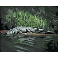 Zuty - Painting By Numbers - Alligator Lying By Water V (D. Rusty Rust), 40X50 Cm, Canvas+Frame - Painting by Numbers