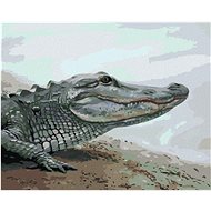 Zuty - Painting By Numbers - Alligator By Water (D. Rusty Rust), 40X50 Cm, Canvas+Frame - Painting by Numbers