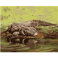 Zuty - Painting by Numbers - Alligator Lying by the Water Ii (D. Rusty Rust), 40X50 Cm, Canvas+Frame - Painting by Numbers