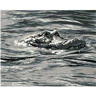 Zuty - Painting By Numbers - Alligator Head In Water (D. Rusty Rust), 40X50 Cm, Canvas+Frame - Painting by Numbers