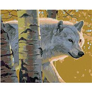 Zuty - Painting By Numbers - White Wolf And Birch Trees (Al Agnew), 40X50 Cm, Canvas+Frame - Painting by Numbers