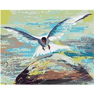 Zuty - Painting by Numbers - Seagull Flying Over Stone, 40X50 Cm, Canvas+Frame - Painting by Numbers