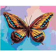 Zuty - Painting by Numbers - Colorful Butterfly on Pink and Blue Background, 40X50 Cm, Canvas+Frame - Painting by Numbers