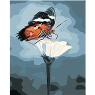 Zuty - Painting by Numbers - Butterfly On Flower, 40X50 Cm, Canvas+Frame - Painting by Numbers