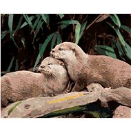 Zuty - Painting by Numbers - Otters by the Water, 80X100 Cm, Canvas+Frame - Painting by Numbers