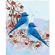 Zuty - Painting by Numbers - Two Blue Birds, 40X50 Cm, Canvas+Frame - Painting by Numbers