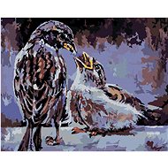 Zuty - Painting by Numbers - Feeding the Birds, 40X50 Cm, Canvas+Frame - Painting by Numbers
