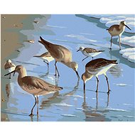 Zuty - Painting by Numbers - Gulls on the Beach (Robert Johnson), 40X50 Cm, Canvas+Frame - Painting by Numbers