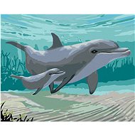 Zuty - Painting by Numbers - Dolphins (Robert Johnson), 80X100 Cm, Canvas+Frame - Painting by Numbers