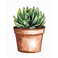 Zuty - Painting By Numbers - Succulent In Brown Pot (Alexandria Gilbert), 40X50 Cm, Canvas+Frame - Painting by Numbers