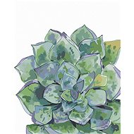 Zuty - Painting by Numbers - Succulent (Alexandria Gilbert), 40X50 Cm, Canvas+Frame - Painting by Numbers