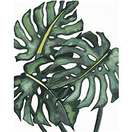 Zuty - Painting by Numbers - Monstery Leaves (Alexandria Gilbert), 40X50 Cm, Canvas+Frame - Painting by Numbers