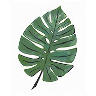 Zuty - Painting by Numbers - Monstera Leaf (Alexandria Gilbert), 40X50 Cm, Canvas+Frame - Painting by Numbers