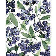 Zuty - Painting by Numbers - Blueberries (Alexandria Gilbert), 40X50 Cm, Canvas+Frame - Painting by Numbers