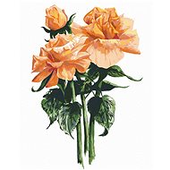 Zuty - Painting by Numbers - Orange Roses (Alexandria Gilbert), 40X50 Cm, Canvas+Frame - Painting by Numbers