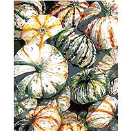 Zuty - Painting by Numbers - Pumpkin (Alexandria Gilbert), 40X50 Cm, Canvas+Frame - Painting by Numbers