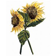 Zuty - Painting by Numbers - Sunflowers (Alexandria Gilbert), 40X50 Cm, Canvas+Frame - Painting by Numbers