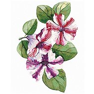 Zuty - Painting by Numbers - Spring Petunia (Alexandria Gilbert), 40X50 Cm, Canvas+Frame - Painting by Numbers