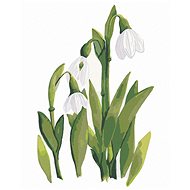 Zuty - Painting by Numbers - Snowdrops (Alexandria Gilbert), 40X50 Cm, Canvas+Frame - Painting by Numbers