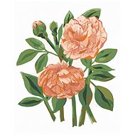 Zuty - Painting by Numbers - Roses (Alexandria Gilbert), 40X50 Cm, Canvas+Frame - Painting by Numbers