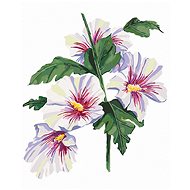 Zuty - Painting by Numbers - Flower of Sharon (Alexandria Gilbert), 40X50 Cm, Canvas+Frame - Painting by Numbers